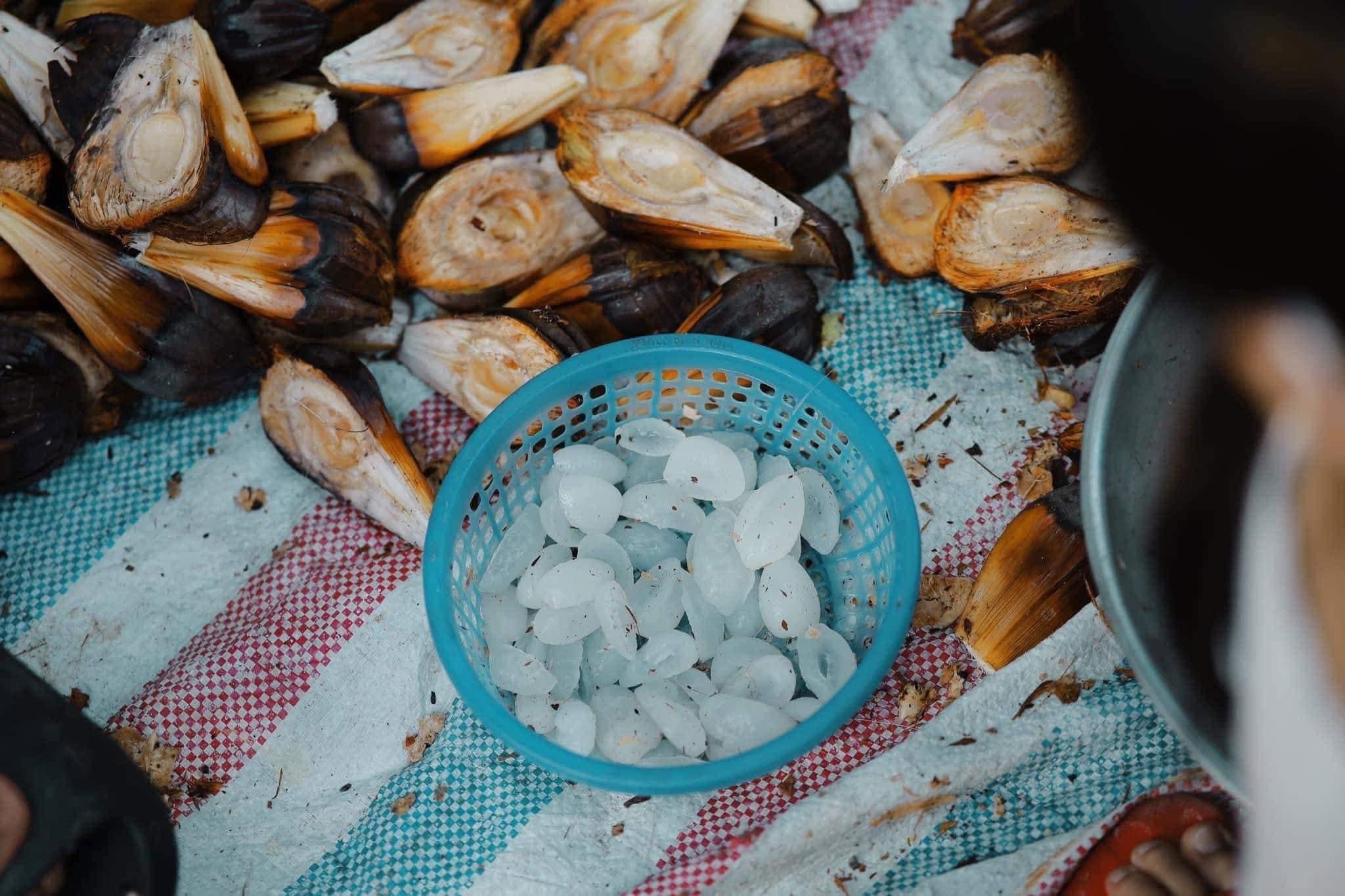 dua nuoc