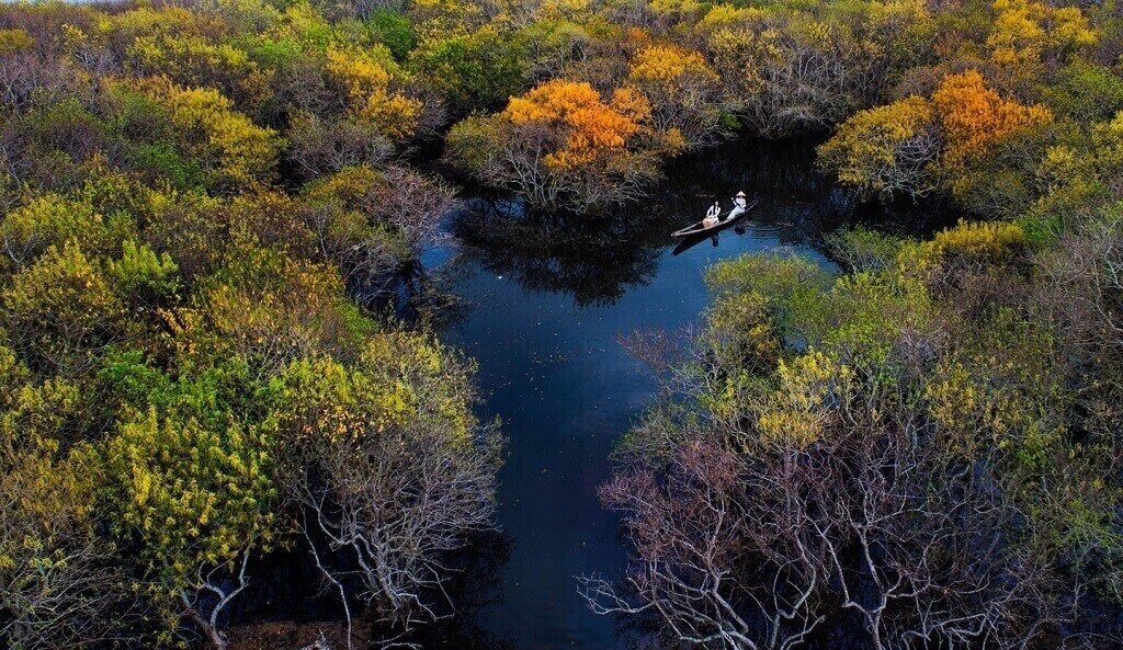 Mangrove de Ru Cha près de la lagune de Tam Giang