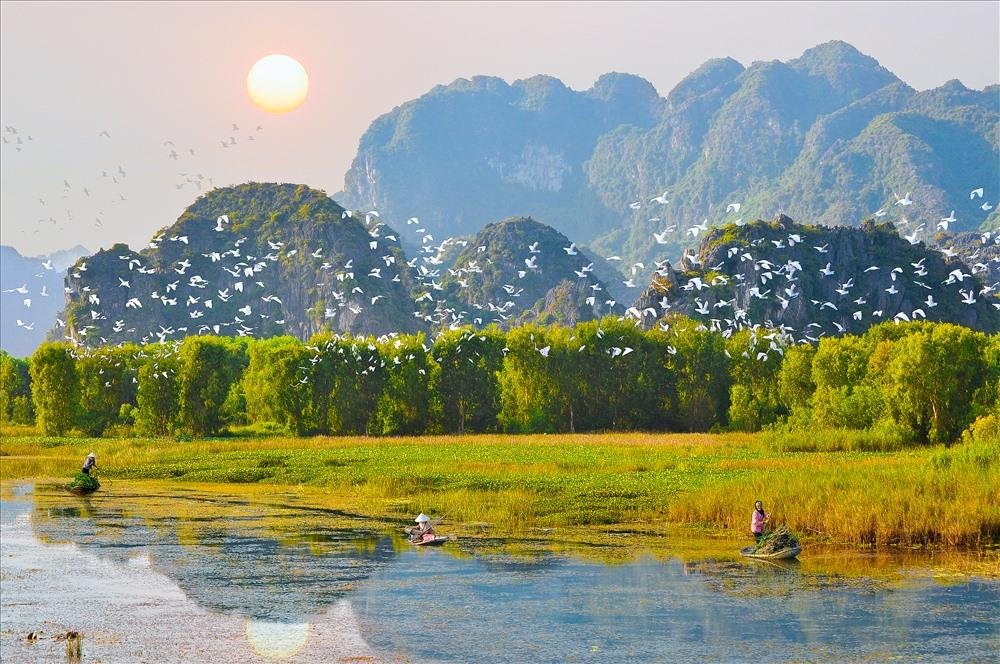 Vol d'oiseaux au-dessus du parc ornithologique de Thung Nham