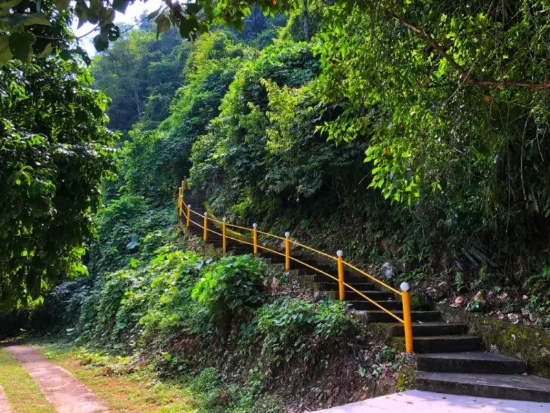 Escalier de pierre menant à la grotte de Hua Ma sous les arbres
