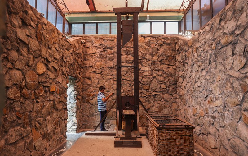 Guillotine cages tigres