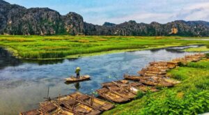 Réserve naturelle de Van Long : Écrin sauvage de Ninh Binh