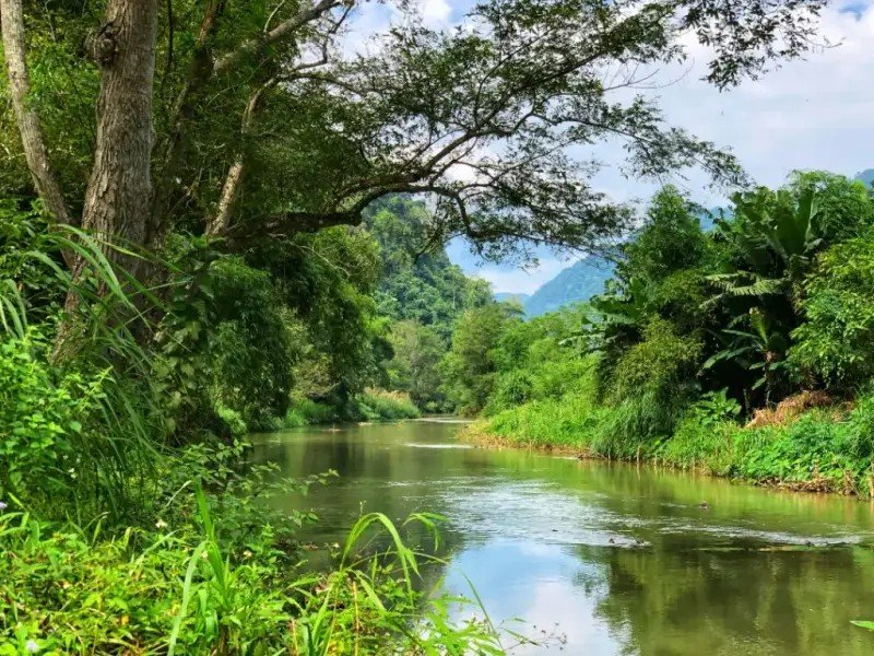 Rivière et forêt près de la grotte de Hua Ma à Ba Be