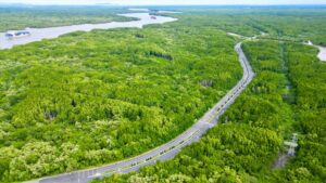 La Mangrove de Can Gio : Guide de Voyage Complet