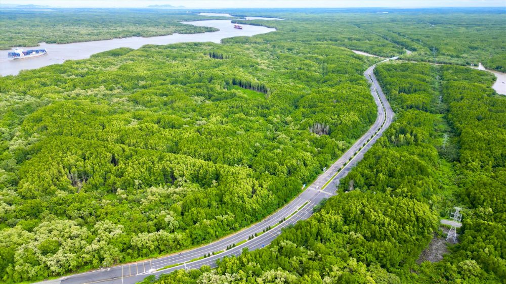 La Mangrove de Can Gio : Guide de Voyage Complet