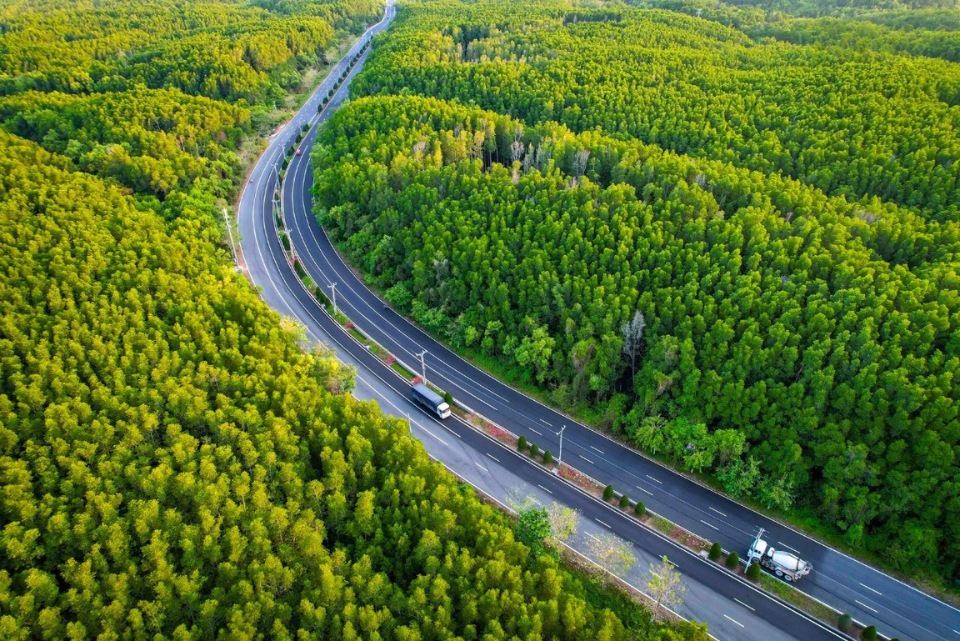 Forêt de Sac