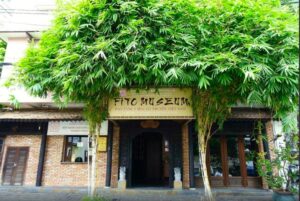 Musée FITO, le musée de la médecine traditionnelle vietnamienne à Saigon