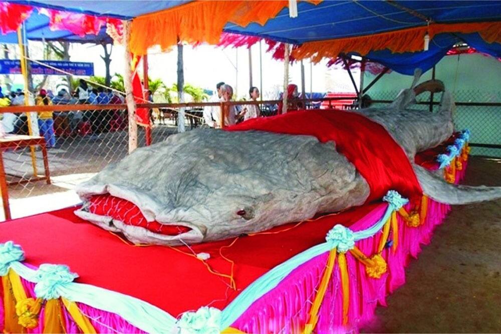 Cérémonie du culte de la baleine organisée par une communauté côtière vietnamienne