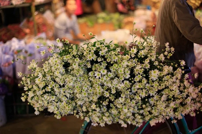 Bouquet de marguerites blanches accroché à un vélo dans le marché de Ho Thi Ky