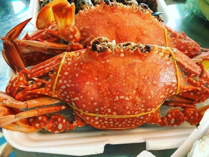 Crabe de Ham Ninh, crustacé emblématique de Phu Quoc