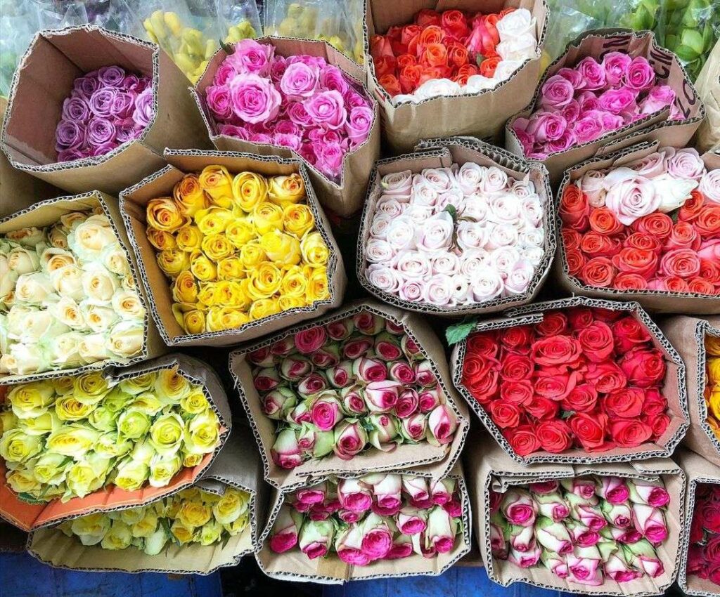 Cartons de roses de toutes les couleurs empilés au marché de gros de Ho Thi Ky