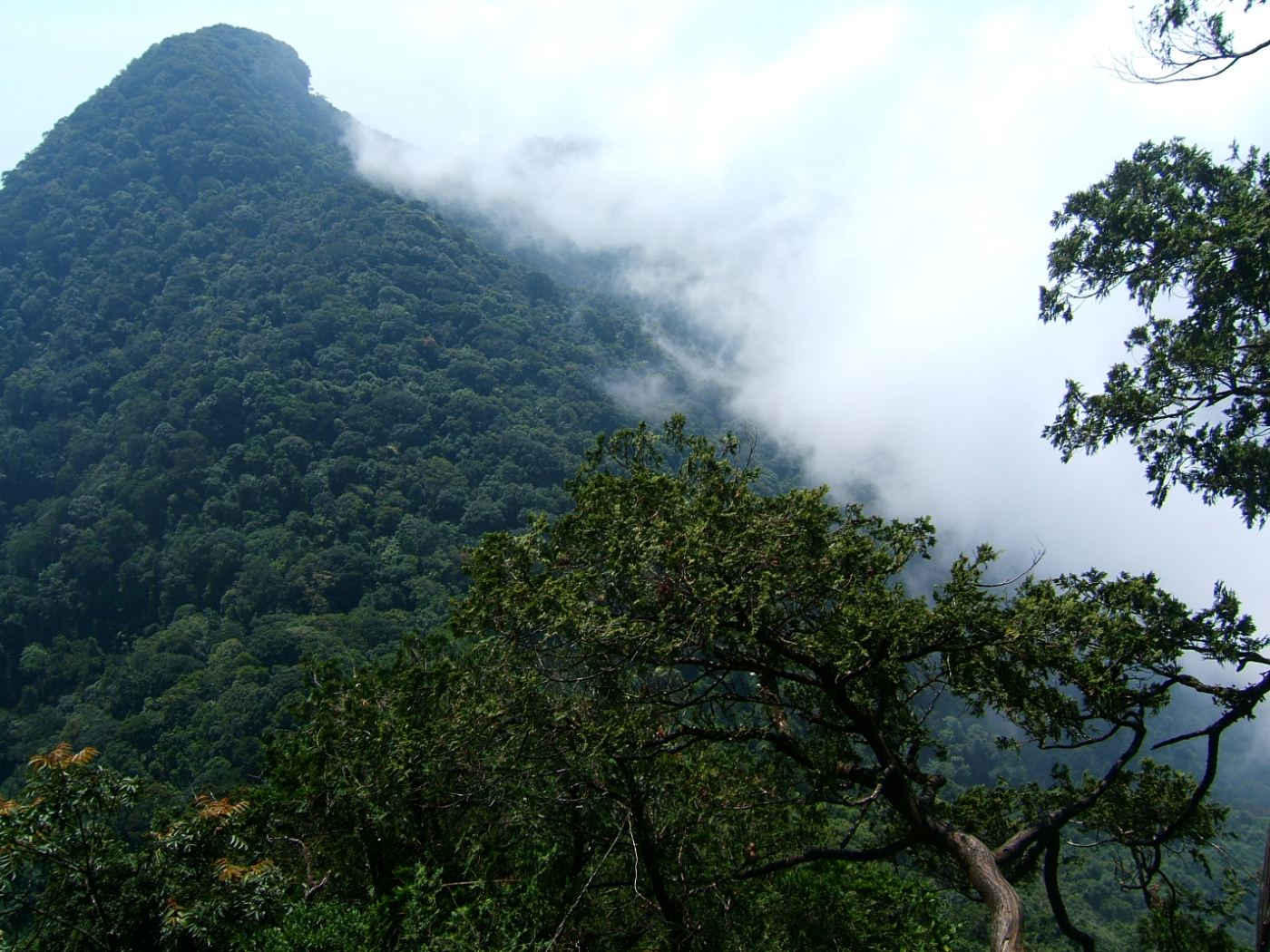 Montagne Ba Vì, lieu sacré du culte de la nature au Vietnam