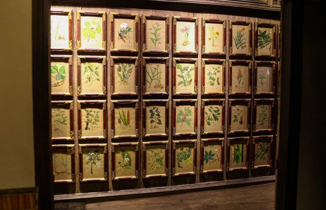 Vitrine de plantes médicinales séchées de la collection Viet Nam ban thao, musée FITO