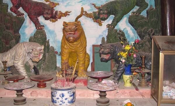 Statues du tigre, animal vénéré dans le culte des animaux au Vietnam