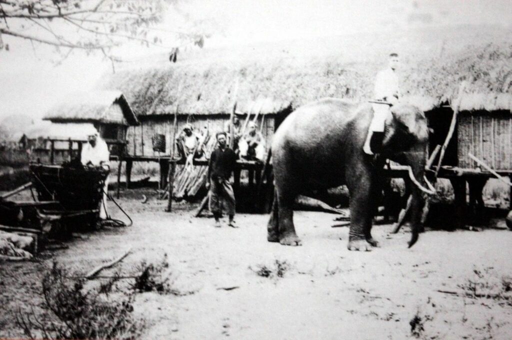 Alexandre Yersin bei einer Expedition auf dem Rücken eines Elefanten