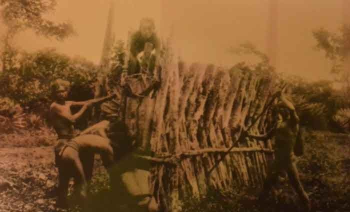 Quelle est l’origine des Vietnamiens ?