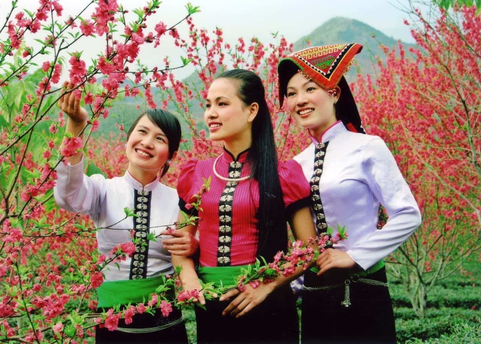 Thai-Frauen in traditioneller Tracht zwischen Pfirsichblüten im Frühling