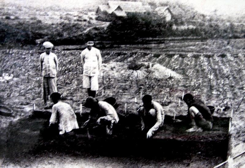 Fouille archéologique sur un site de la culture néolithique de Ha Long