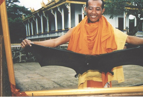 Un moine présente une chauve-souris frugivore aux visiteurs de la pagode