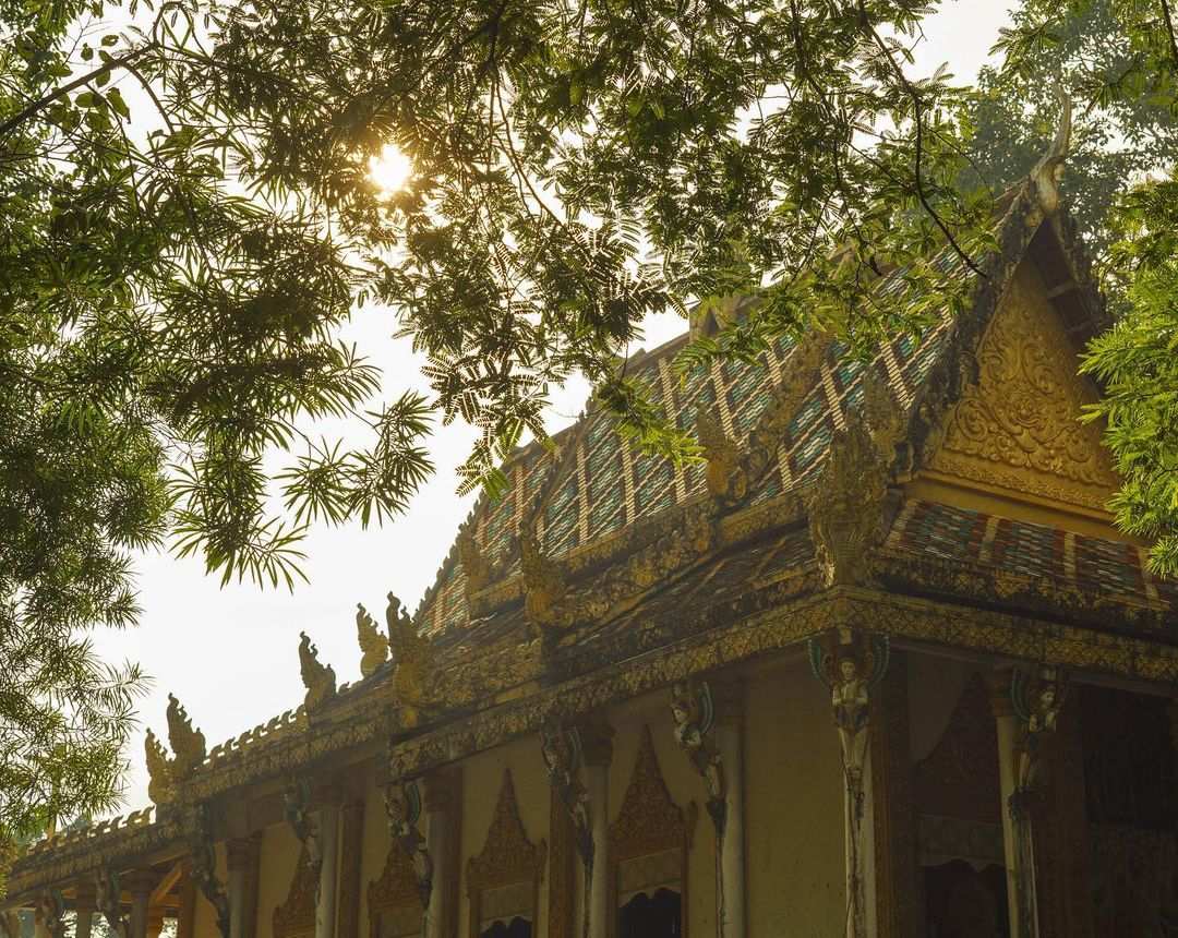 Lumière du soleil filtrant à travers les arbres au-dessus de la toiture de la pagode