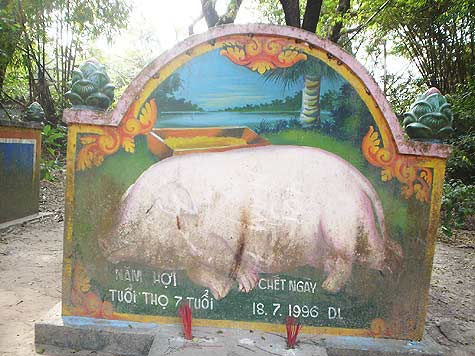 Une tombe du cimetière des cochons à cinq doigts, derrière l'enceinte de la pagode