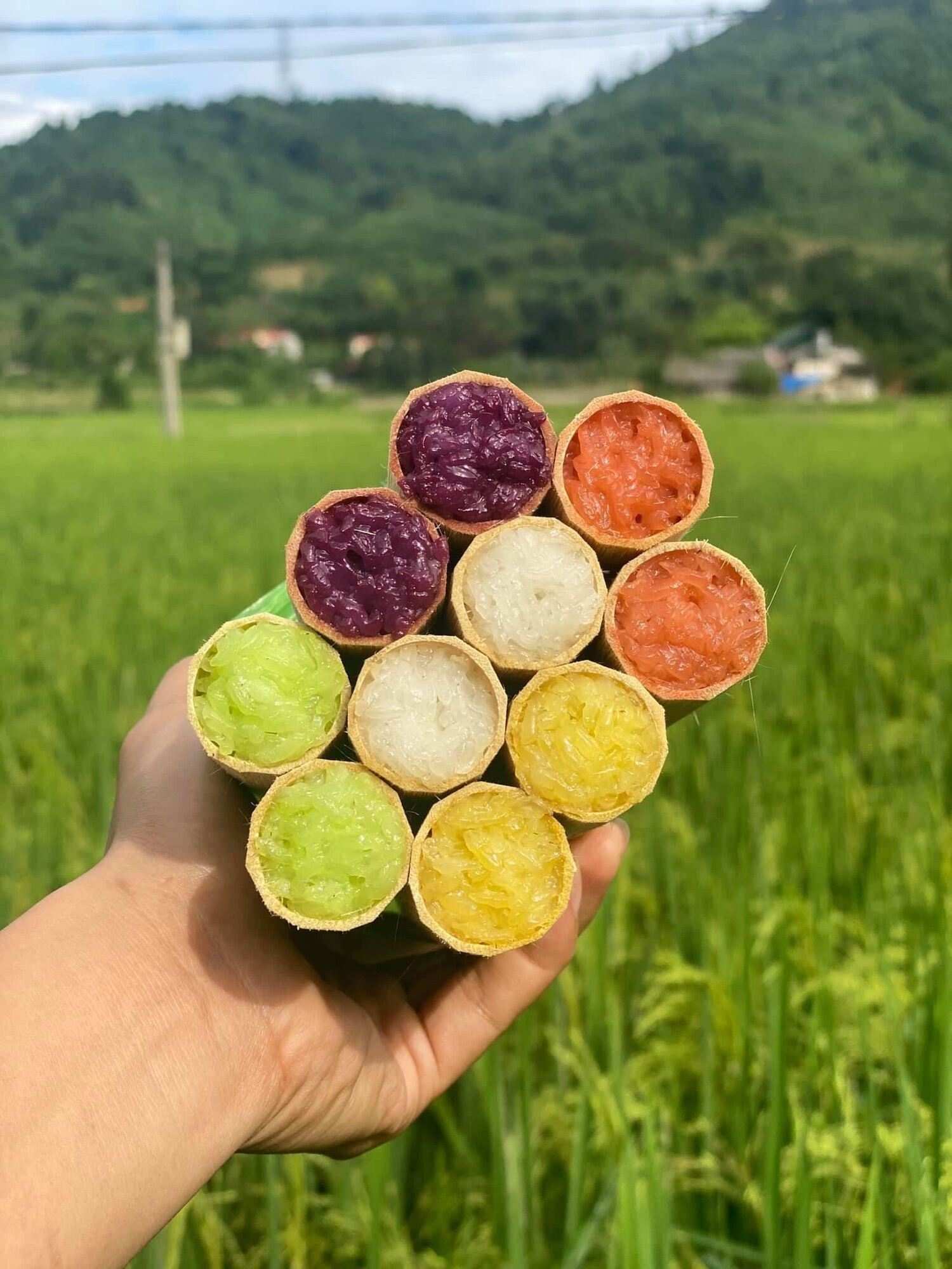 Com lam cinq couleurs cuit dans le bambou specialite culinaire de Pu Luong