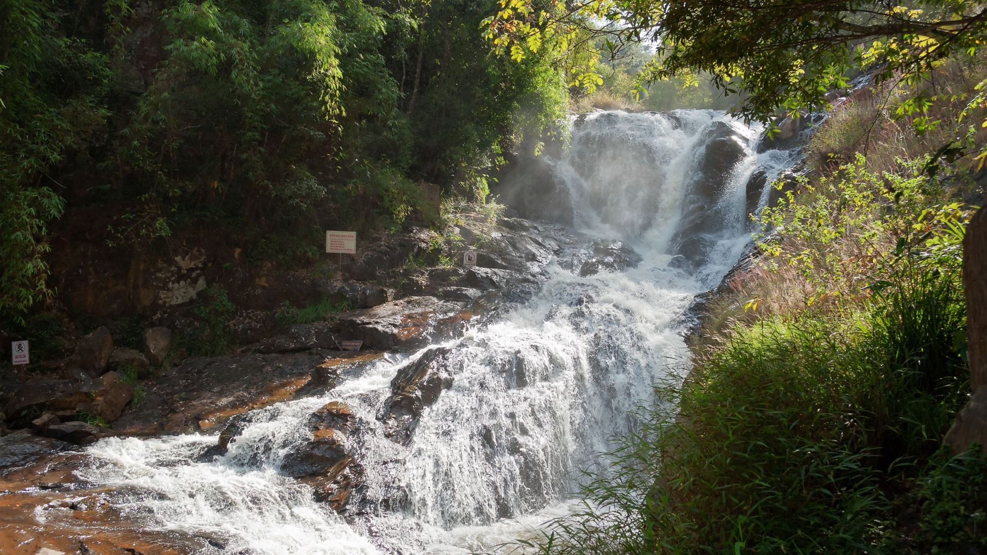 Datanla à Dalat : Tout savoir avant la visite