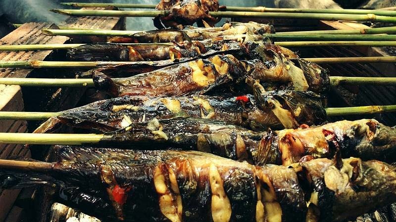 Poissons de ruisseau grilles sur braises avec tiges de bambou a Pu Luong