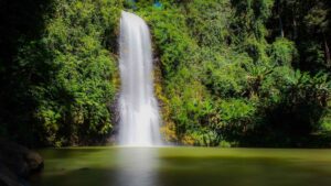 Cascade de Pa Sy à Mang Den : Guide complet pour la découvrir