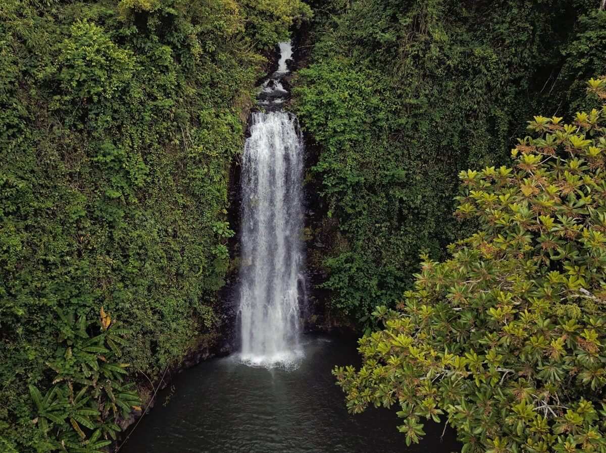 Vue aérienne de la cascade de Pa Sy au milieu de la forêt tropicale