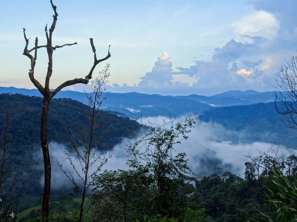 Montagnes brumeuses entourant Măng Đen, paysage des Hauts Plateaux de Kon Tum