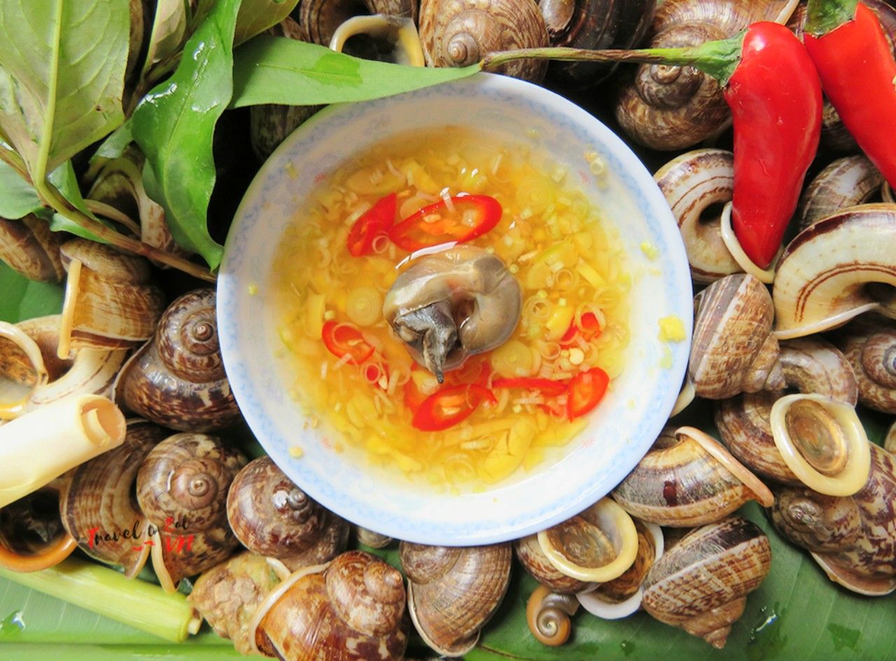 Escargots de montagne oc nui presentes sur un plateau en osier tresse