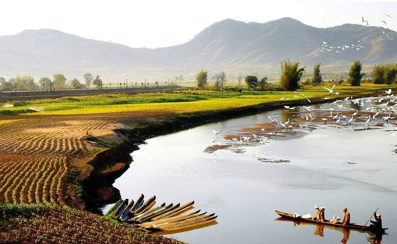 Envol de hérons blancs au-dessus de la Đăk Bla entre rizières moissonnées et montagnes brumeuses à Kon Tum