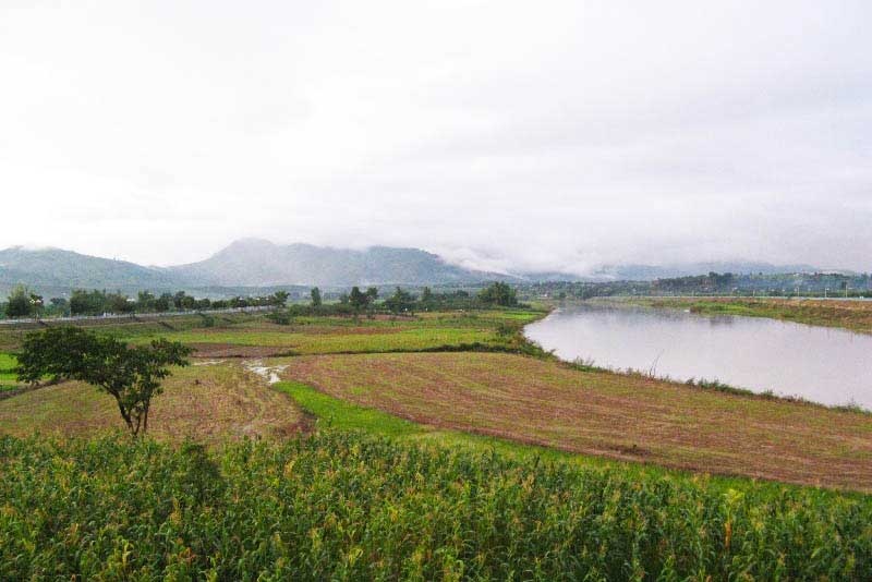 Champs de maïs et parcelles labourées au bord de la Đăk Bla sous les montagnes brumeuses de Kon Tum