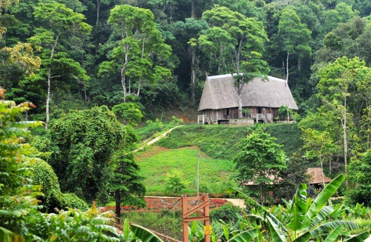 Village traditionnel des hauts plateaux avec maisons au toit de chaume entourées de forêt près de Chu Mom Ray