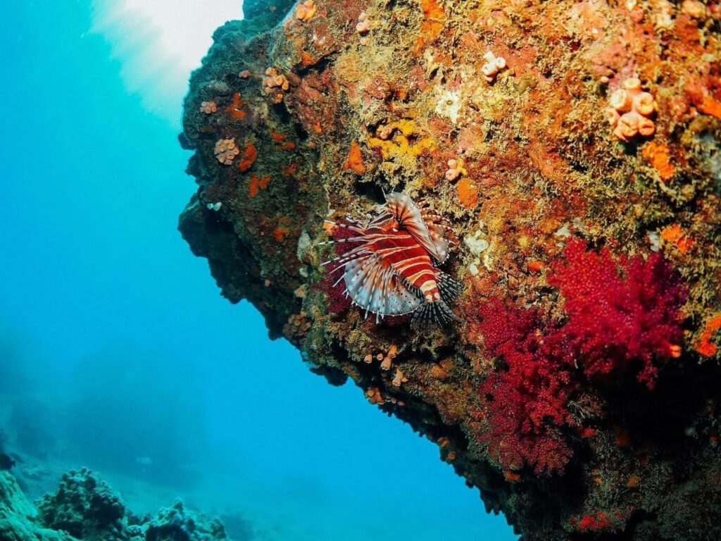 Hon Mun à Nha Trang : Guide complet de l&rsquo;île protégée