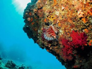 Hon Mun à Nha Trang : Guide complet de l&rsquo;île protégée