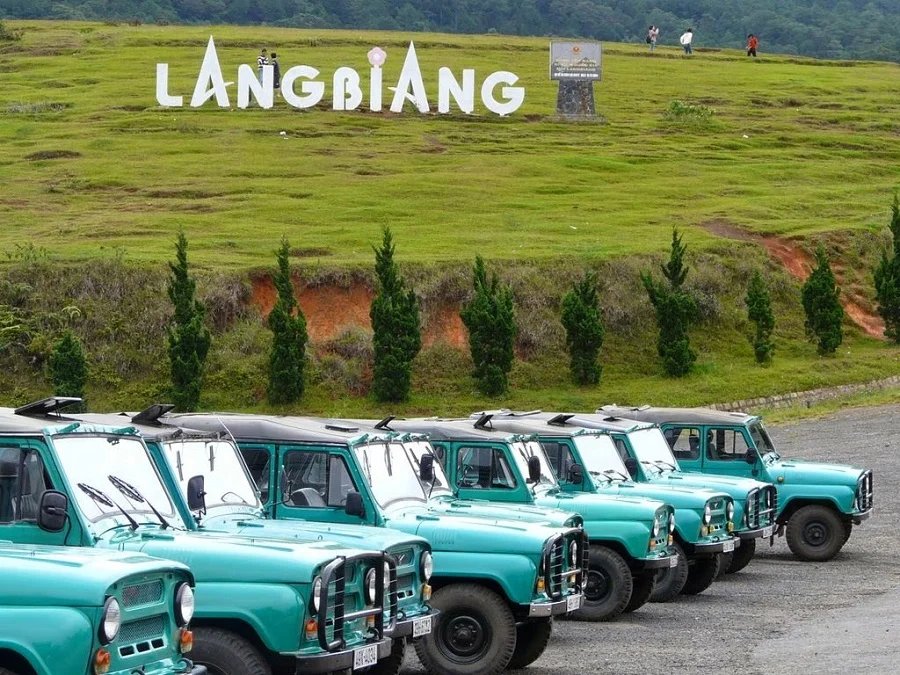 Jeeps vertes alignées près du point de départ de l’excursion.