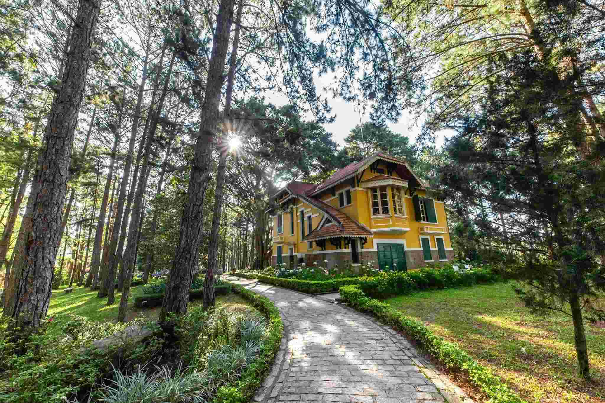 Allée boisée menant vers une villa ancienne à Dalat.