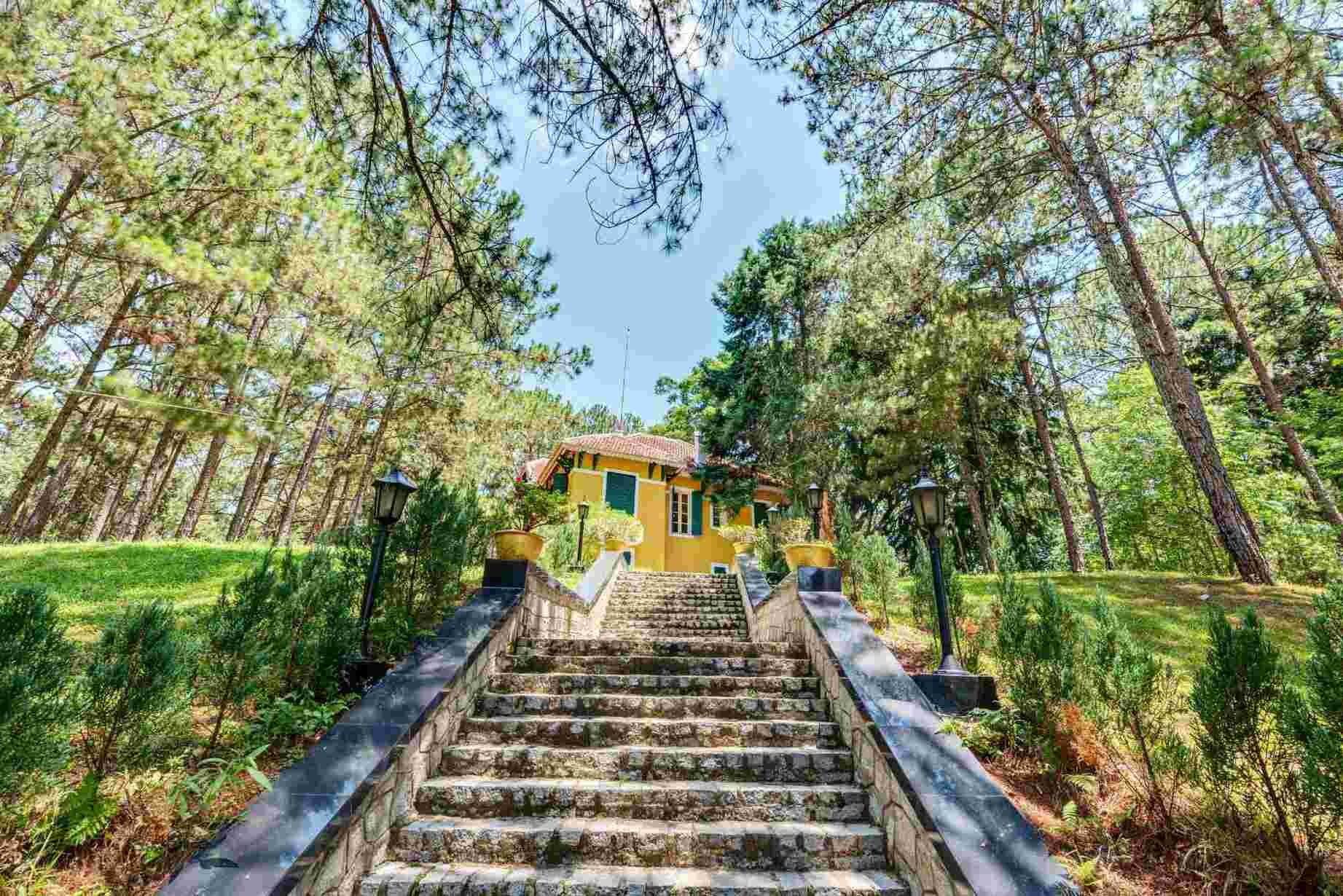 Escalier extérieur bordé de pins dans un domaine historique de Dalat.