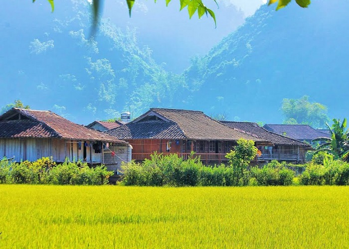 Maison traditionnelle et paysage rural dans le village de Quynh Son.