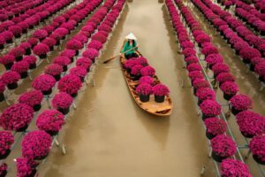 Village des fleurs de Sa Dec : Guide complet pour le découvrir