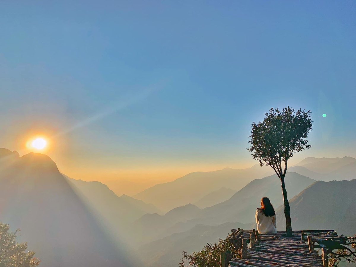 l’arbre solitaire au col O Quy Ho avec vue sur les montagnes au coucher du soleil