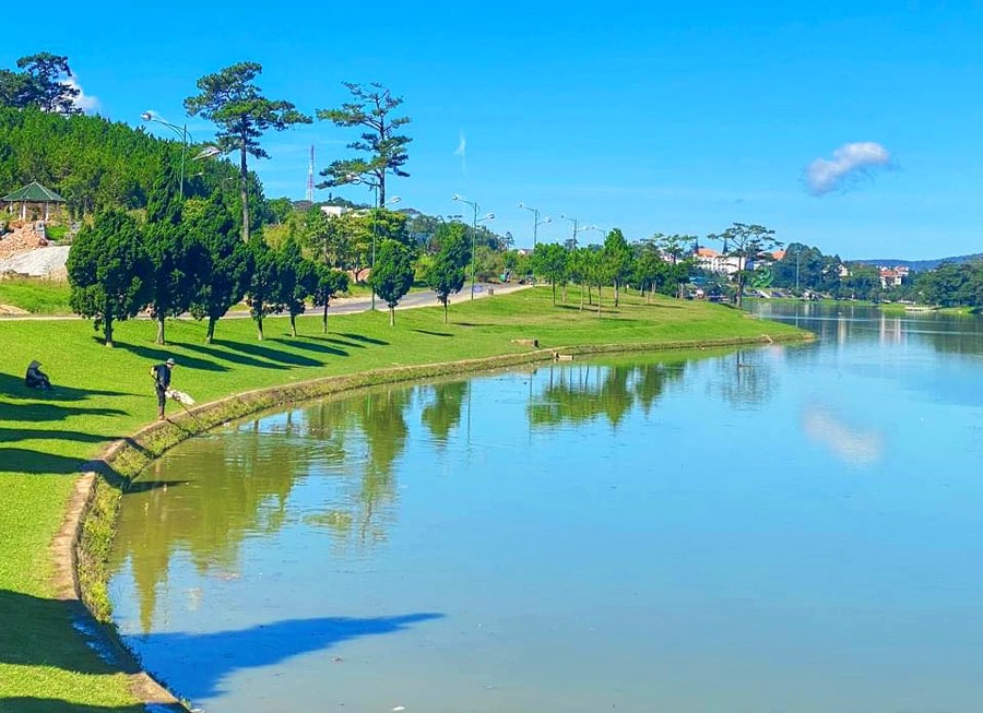 Berges vertes et pins autour du lac de Dalat.