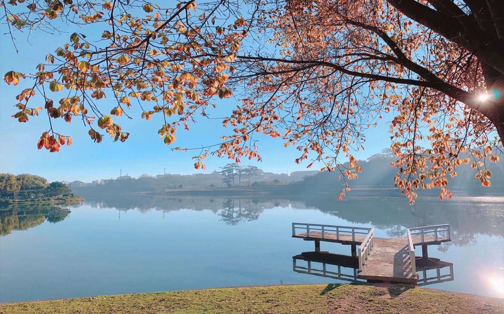 Lac Xuan Huong : Une parenthèse de douceur au cœur de Da Lat