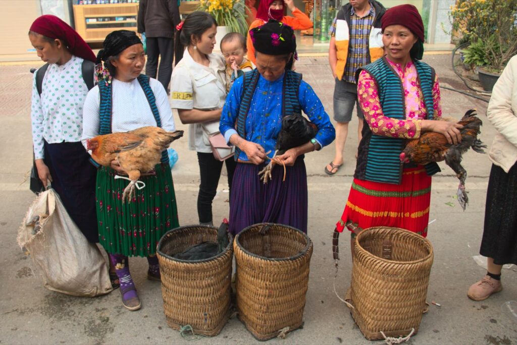 Marchés ethniques de Ha Giang : Calendrier et guide pratique