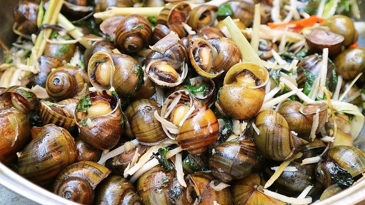 Oc gao Tan Phong cuits avec gingembre et herbes dans le delta du Mékong