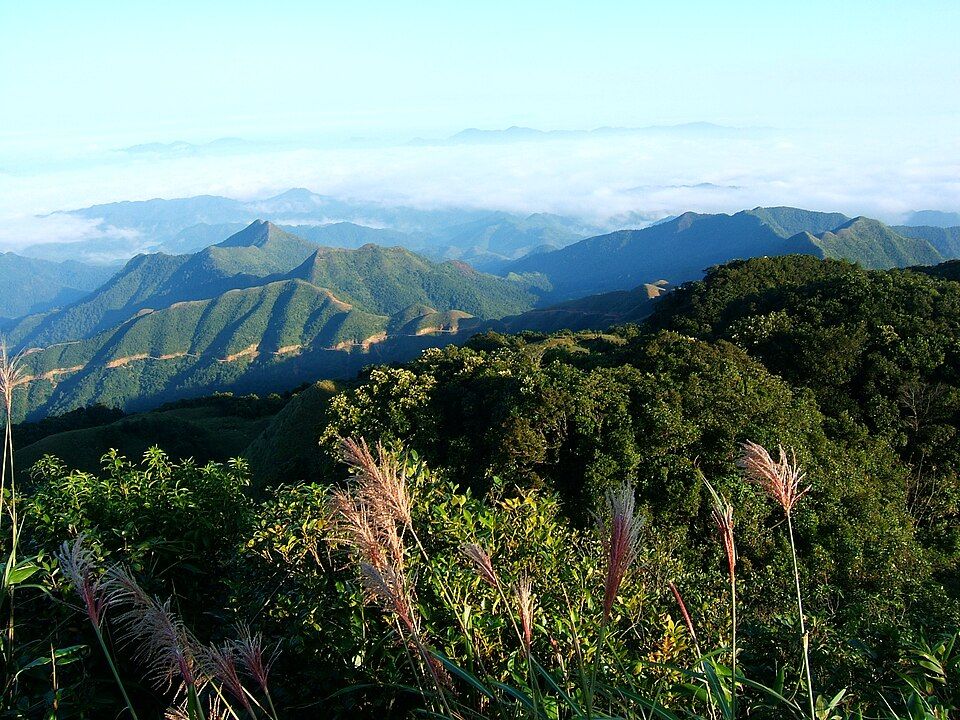 Paysage de montagne et herbes hautes sur le massif de Mau Son.