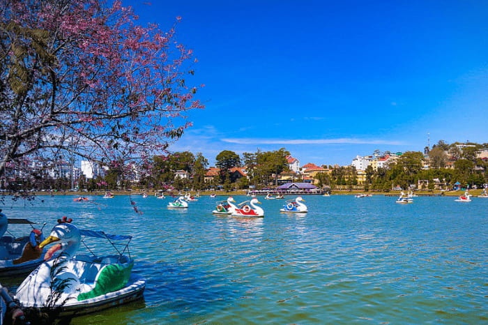 Pédalos colorés sur l’eau au centre de Dalat.