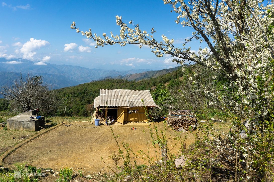 Paysage de printemps sur le plateau de Sin Ho à Lai Chau